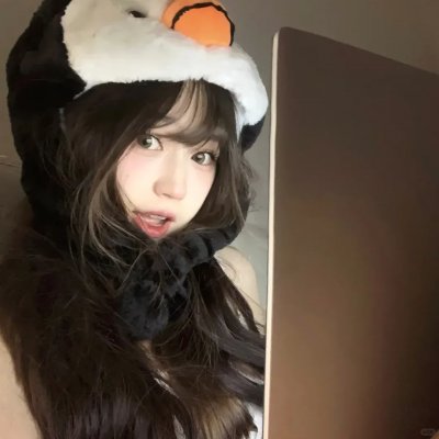 野狗们
